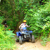 ATV Top Level