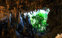 Cave Temple and Mangrove Kayaking Day Trip