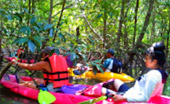 Cave Temple and Mangrove Kayaking Day Trip