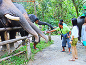 Private PhangNga Jamesbond Island