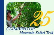 Climbing Up Mountain Safari Trek