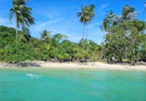 Longtail Boat Charter to The Island