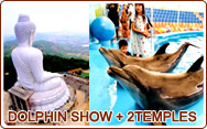 Dolphin Show and 2 Temples