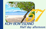 Koh Bon Island Half Day