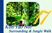 Koh Yao Noi Surrounding and Jungle Walk to Big Tree
