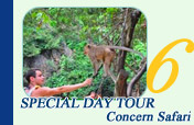 Special Day Tour Concerns Safari