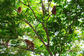 4 of Best Mountains View Phuket