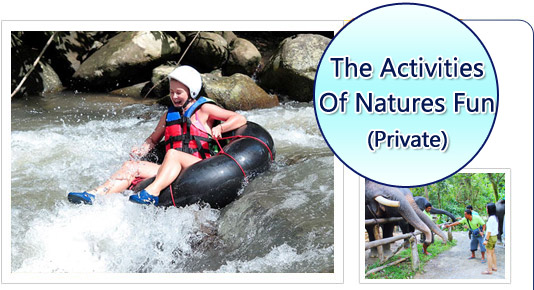 The Activities of Natures Fun