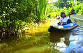 Phuket Safari Concern by Phuket Tour Provider