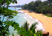 Phuket Safari Concern by Phuket Tour Provider