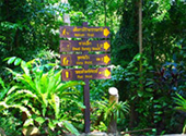 Phuket Safari Concern by Phuket Tour Provider