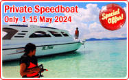 Special Offer Private Speed Boat