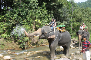 Private Unlimited Discovery by Phuket Tour Provider