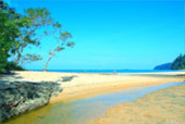 Prathong Archipelago Untouch Area of Red Sea Fan